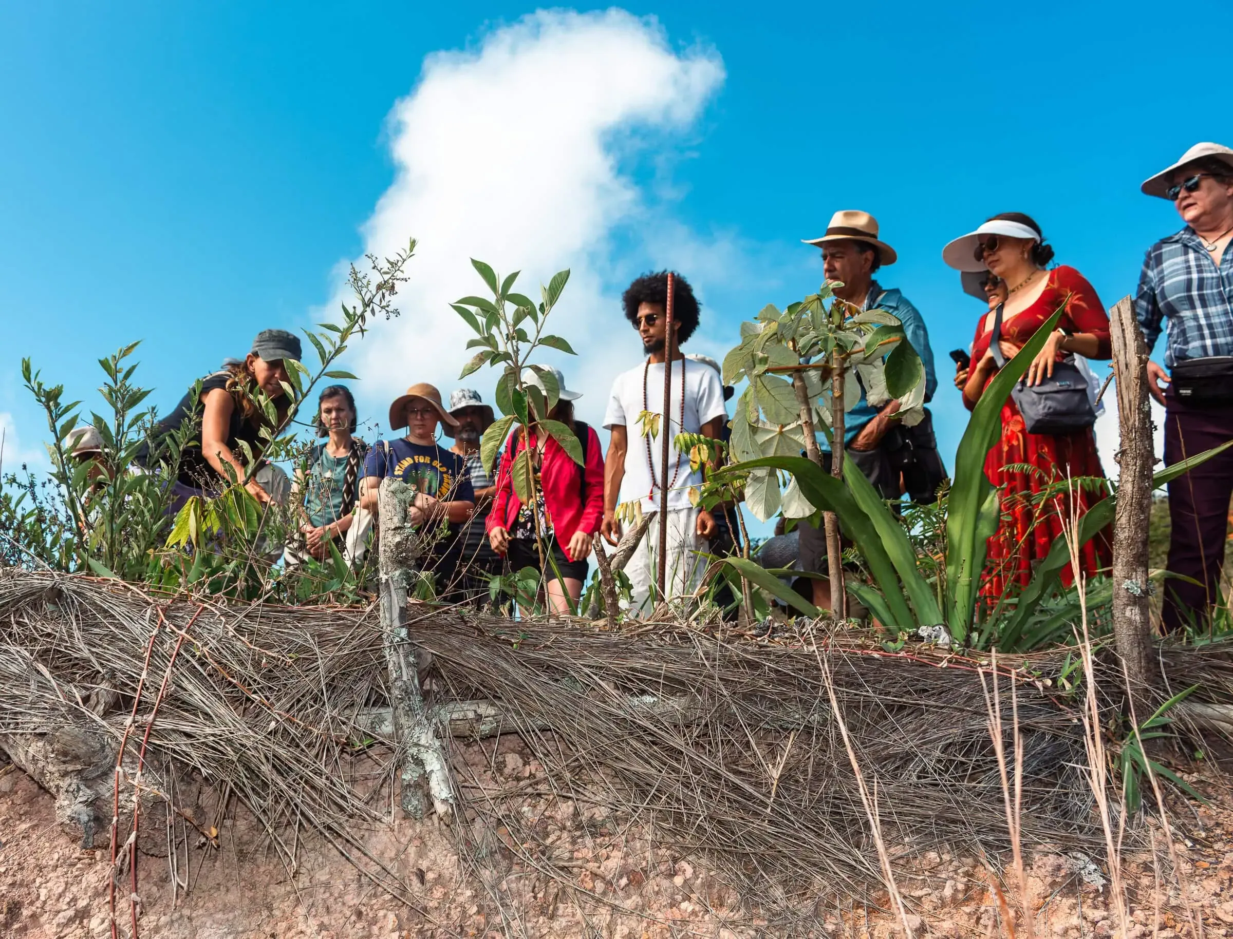 A gathering for the Design School for Regenerating Earth in Barichara.